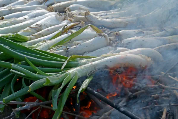 calçotada con sarmientos