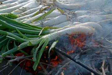 calçotada a domicilio