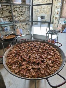 Portafolio SHOWCOOKINGPAELLAS