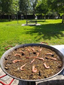 Portafolio SHOWCOOKINGPAELLAS